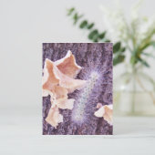 fuzzy caterpijler en fungi briefkaart (Staand voorkant)