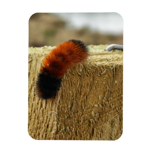 Fuzzy Caterpijler Magneet (Verticaal)