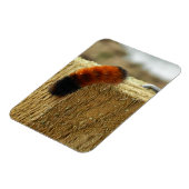 Fuzzy Caterpijler Magneet (Linkerzijde)