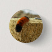 Fuzzy Caterpijler Ronde Button 3,2 Cm (Voorkant)
