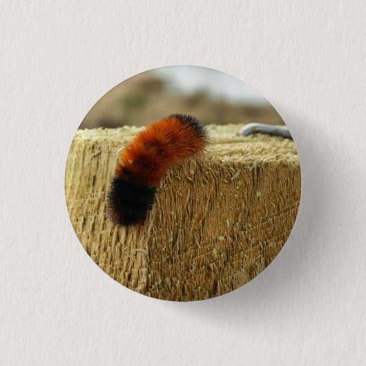Fuzzy Caterpijler Ronde Button 3,2 Cm (Voorkant)