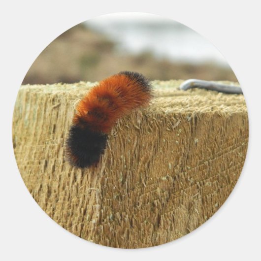 Fuzzy Caterpijler Ronde Sticker (Voorkant)