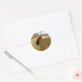 Fuzzy Caterpijler Ronde Sticker (Envelop)