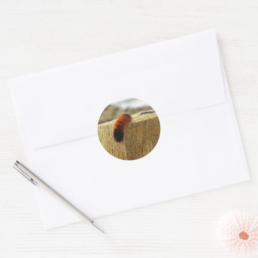 Fuzzy Caterpijler Ronde Sticker (Envelop)