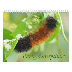 Fuzzy Caterpilars Agenda Kalender