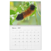 Fuzzy Caterpilars Agenda Kalender (Feb 2027)