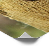 Fuzzy Caterpillar Poster (Hoek)