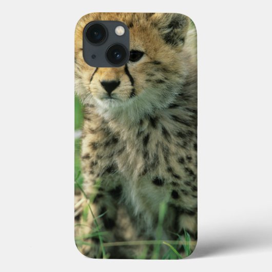 Fuzzy Cheetah Cub Case-Mate iPhone Case (Achterkant)