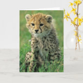 Fuzzy Cheetah Cub Kaart (Gele Bloem)