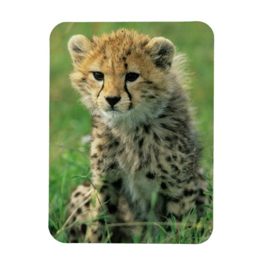 Fuzzy Cheetah Cub Magneet (Verticaal)