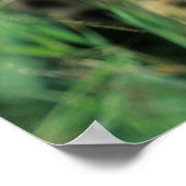 Fuzzy Cheetah Cub Poster (Hoek)