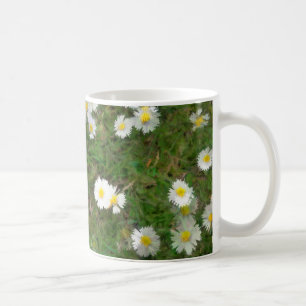 Fuzzy Daisy Mok