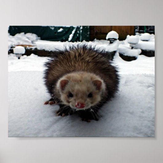 Fuzzy de Grote Poster (Voorkant)