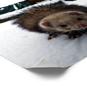 Fuzzy de Grote Poster (Hoek)