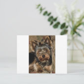 Fuzzy Face Yorkshire Terrier Briefkaart (Staand voorkant)
