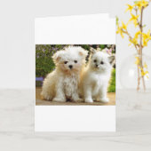 Fuzzy Friends Kaart (Gele Bloem)