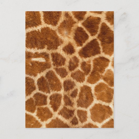 Fuzzy Giraffe Fur Pattern Briefkaart (Voorkant)