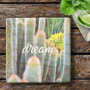 Fuzzy Green Cacti Succulent Photo Dream Script Stenen Onderzetter
