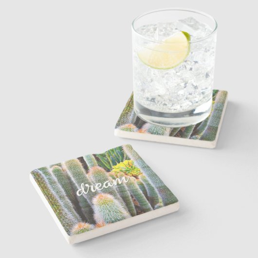 Fuzzy Green Cacti Succulent Photo Dream Script Stenen Onderzetter (Zijkant)