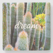 Fuzzy Green Cacti Succulent Photo Dream Script Stenen Onderzetter (Voorkant)