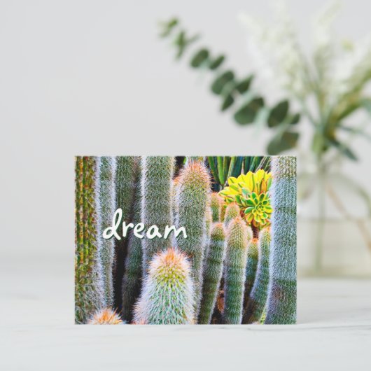 Fuzzy Green Cactus Fotografie Droomscript Vet Briefkaart (Staand voorkant)