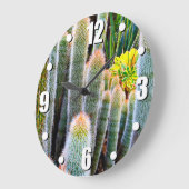 Fuzzy groene cactussen sappige foto modern vet grote klok (Hoek)