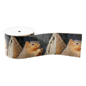 Fuzzy Grosgrain Lint (Spoel)