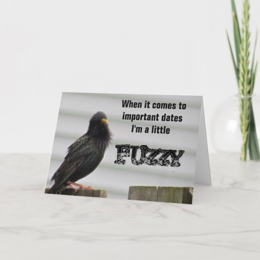 fuzzy headed bird kaart (Voorkant)