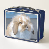 Fuzzy Holland Mini Dwarf Lop Bunny Rabbit (Voorkant)