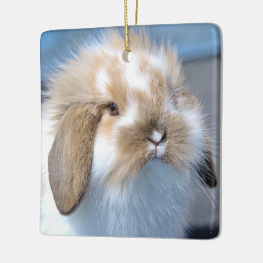 Fuzzy Holland Mini Dwarf Lop Bunny Rabbit Keramisch Ornament (Links)