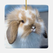 Fuzzy Holland Mini Dwarf Lop Bunny Rabbit Keramisch Ornament (Achterkant)