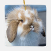 Fuzzy Holland Mini Dwarf Lop Bunny Rabbit Keramisch Ornament (Voorkant)