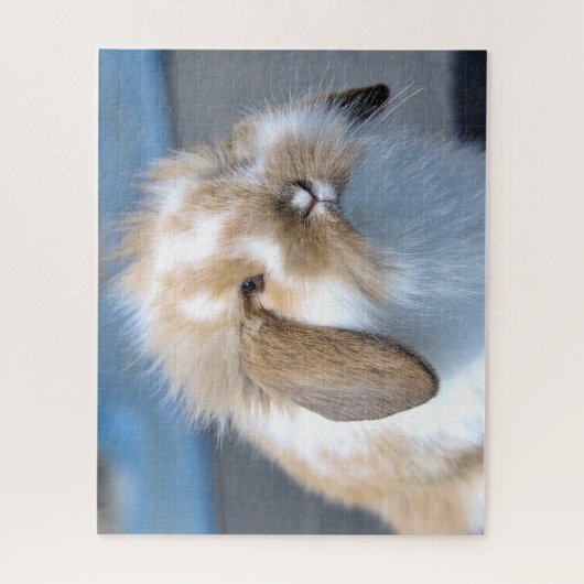 Fuzzy Holland Mini Dwarf Lop Bunny Rabbit Legpuzzel (Verticaal)