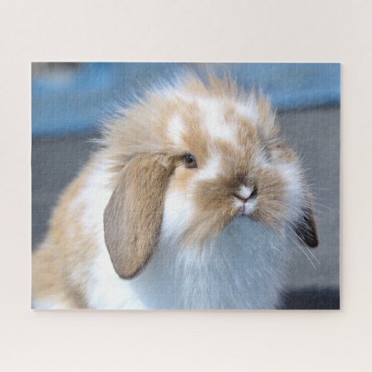 Fuzzy Holland Mini Dwarf Lop Bunny Rabbit Legpuzzel (Horizontaal)