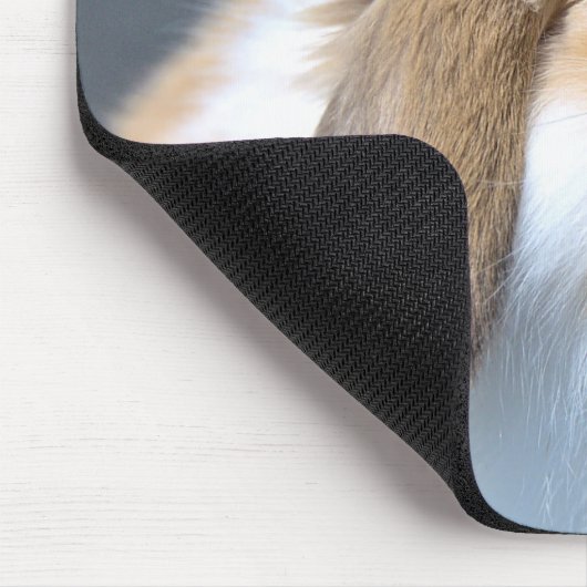 Fuzzy Holland Mini Dwarf Lop Bunny Rabbit Muismat (Hoek)