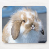 Fuzzy Holland Mini Dwarf Lop Bunny Rabbit Muismat (Voorkant)