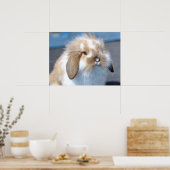 Fuzzy Holland Mini Dwarf Lop Bunny Rabbit Poster (Keuken)