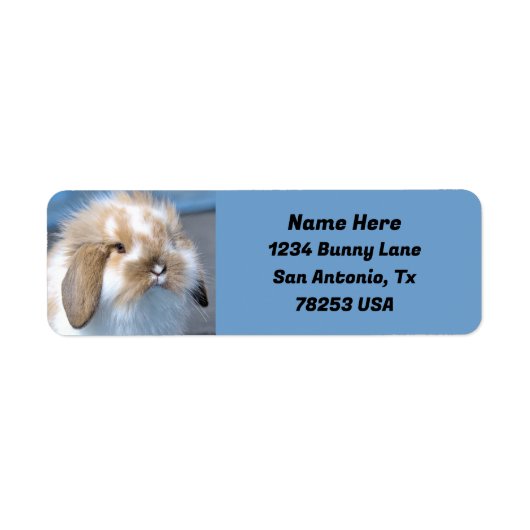 Fuzzy Holland Mini Dwarf Lop Bunny Retouradres Etiket (Voorkant)