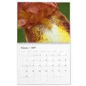Fuzzy Iris Beards Bloem Fotokalender Kalender (Feb 2027)