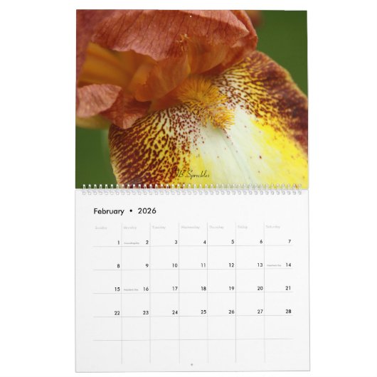 Fuzzy Iris Beards Bloem Fotokalender Kalender (Feb 2026)