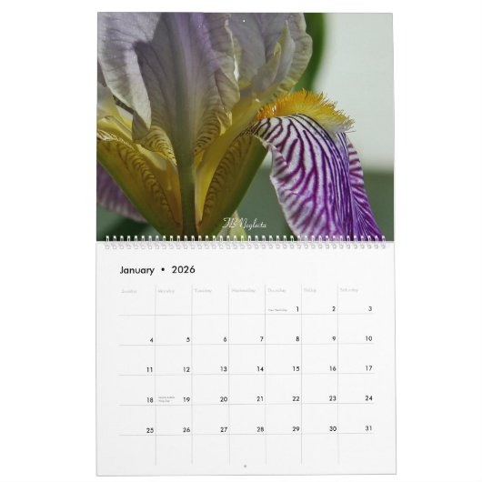 Fuzzy Iris Beards Bloem Fotokalender Kalender (Jan 2026)