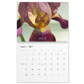 Fuzzy Iris Beards Bloem Fotokalender Kalender (Mar 2027)
