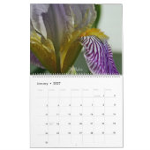 Fuzzy Iris Beards Bloem Fotokalender Kalender (Jan 2027)