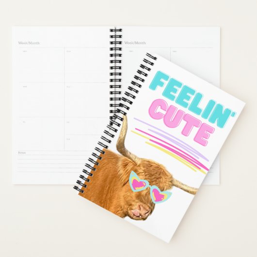 Fuzzy Koe Planner (Display)