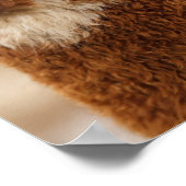 Fuzzy Llama Poster (Hoek)