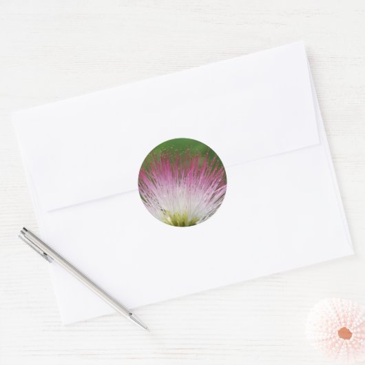 Fuzzy Mimosa bloem Ronde Sticker (Envelop)
