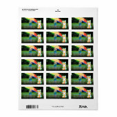 Fuzzy Modern Color Stippen 1e verjaardag Foto Etiket (Full Sheet)