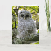 Fuzzy Owlet Barred Owl Bedankt (Voorkant)