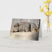 Fuzzy piggies kaart (Gele Bloem)