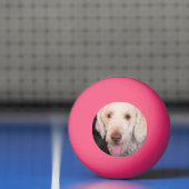 Fuzzy Pingpongbal (Net)